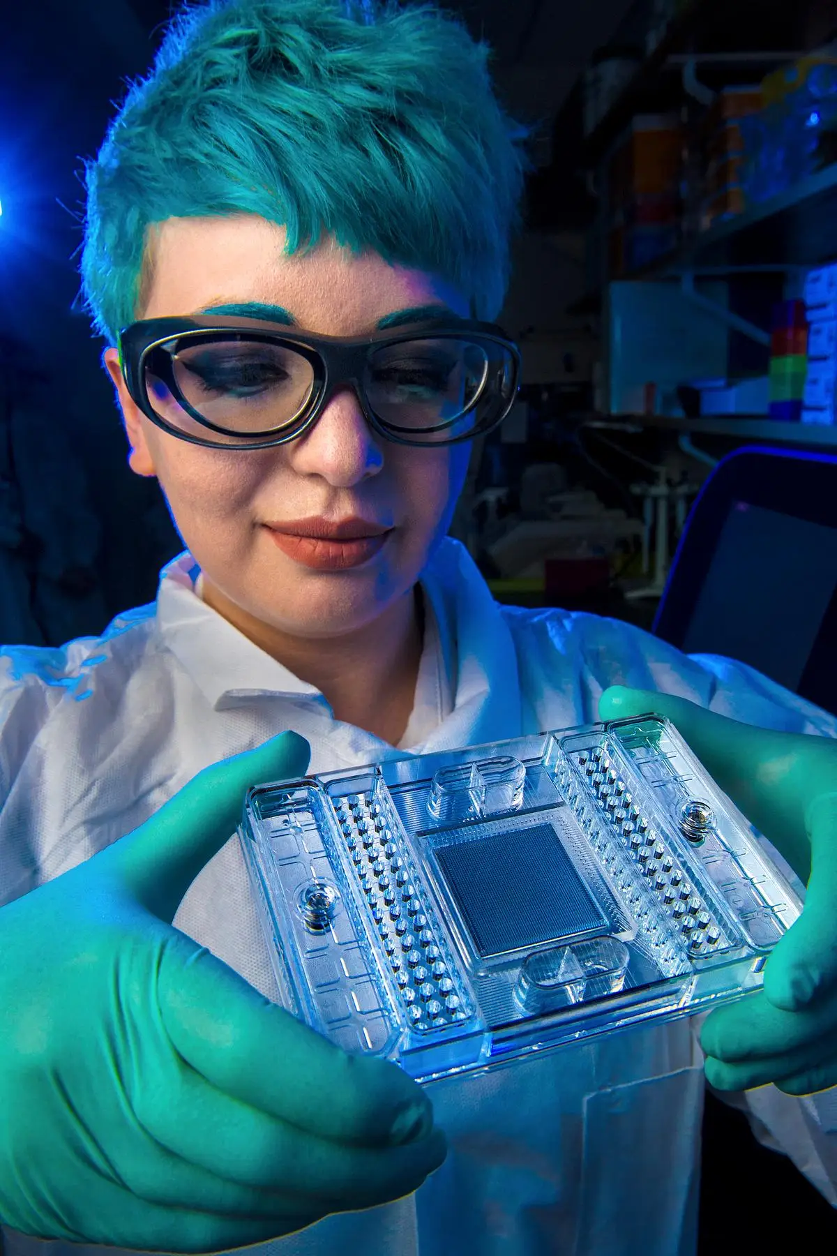 Fundamentos y Aplicaciones Clínicas de la Microbiología Bacteriana