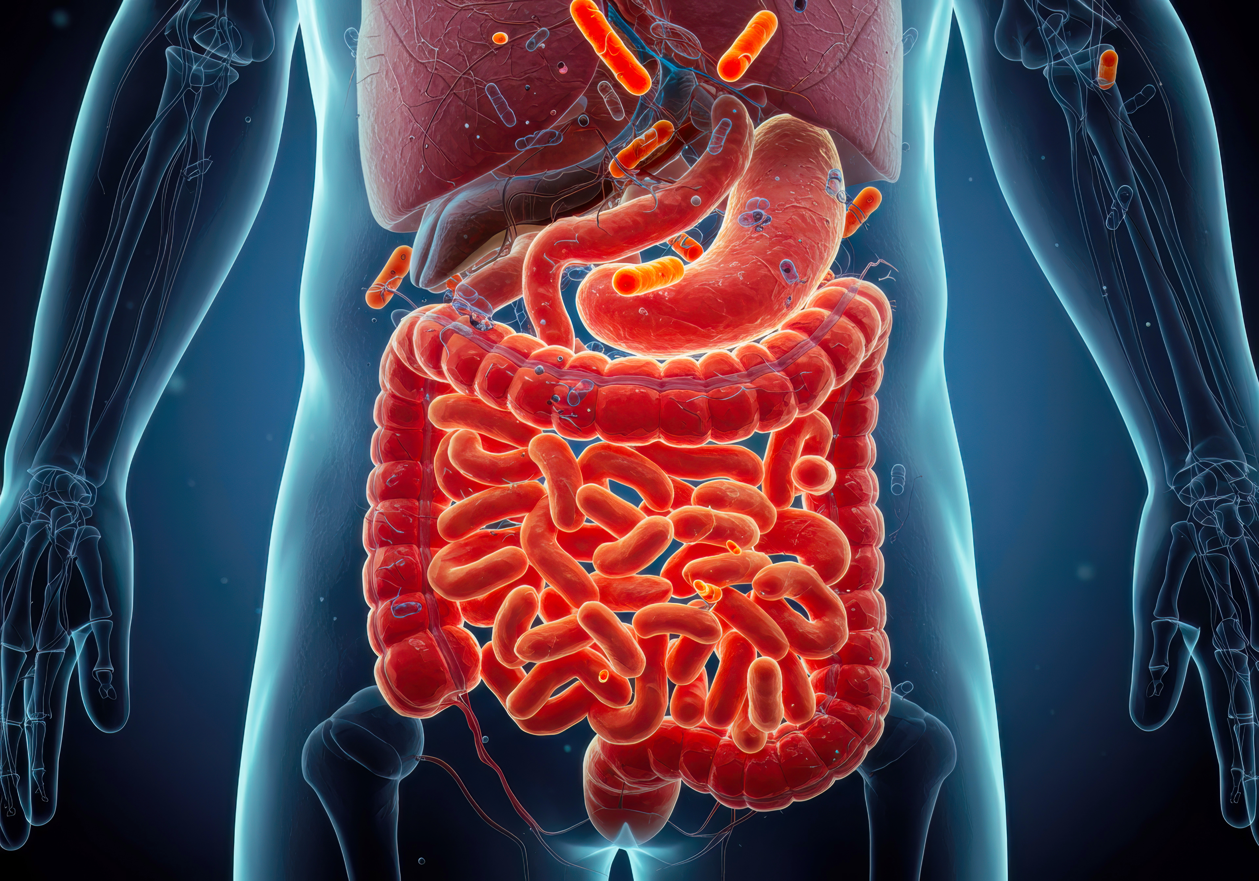 Enterobacter, Serratia, Citrobacter.