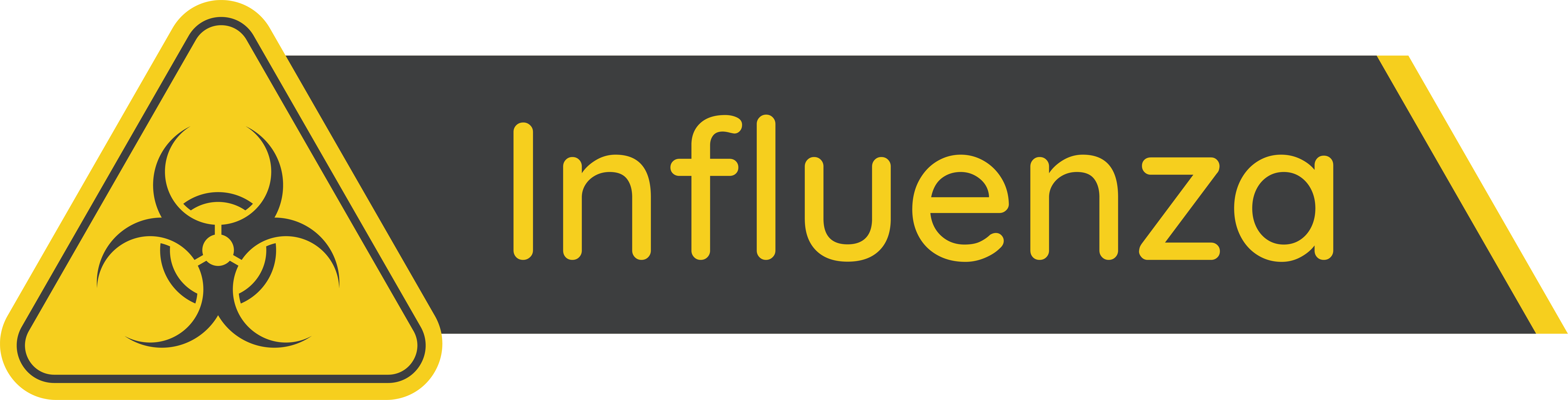 VIRUS DE LA INFLUENZA. CLASE.